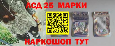 индика Партизанск