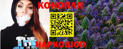 индика Партизанск
