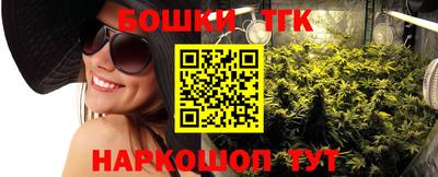 стафф Пенза